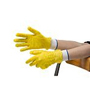 Disposable Gloves