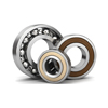 Bearings & Seals